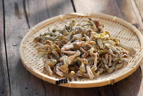 ʯ���񶬹���������