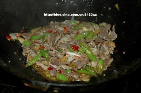 �������ӵ�����