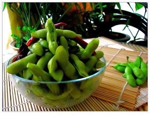 ��ë��������