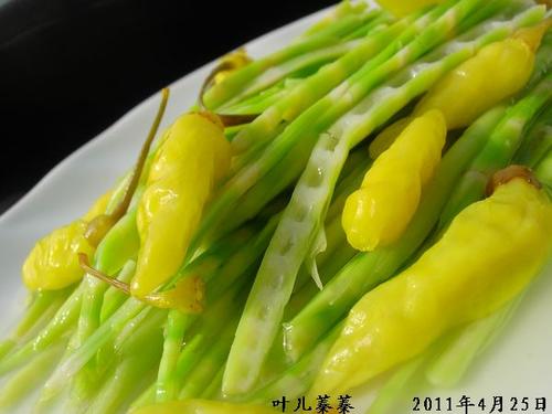 �ݽ����������