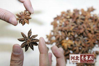 ���ּ��������