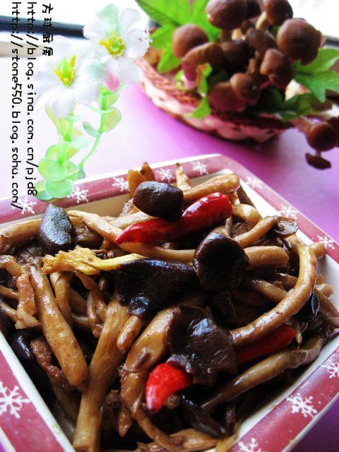 ���Բ�����������