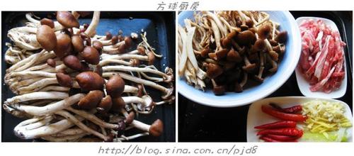 ���Բ�����������