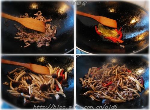 ���Բ�����������