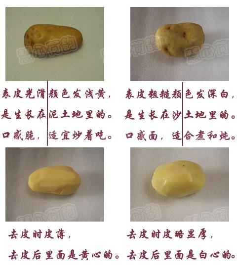 �⽷����˿������