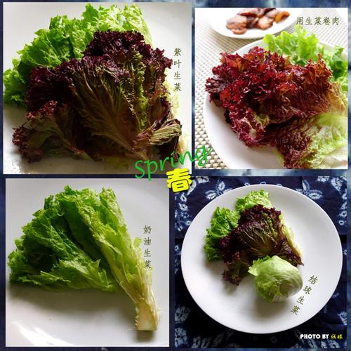 ���˾��������