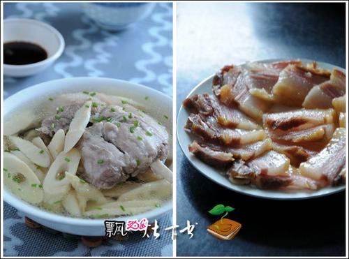 ���������������o������