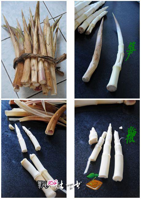 ���������������o������