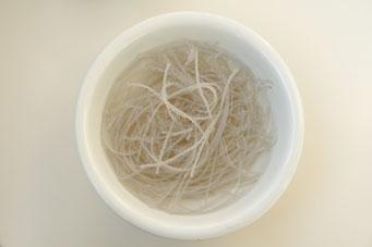 С����Ģ��������