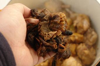 С����Ģ��������