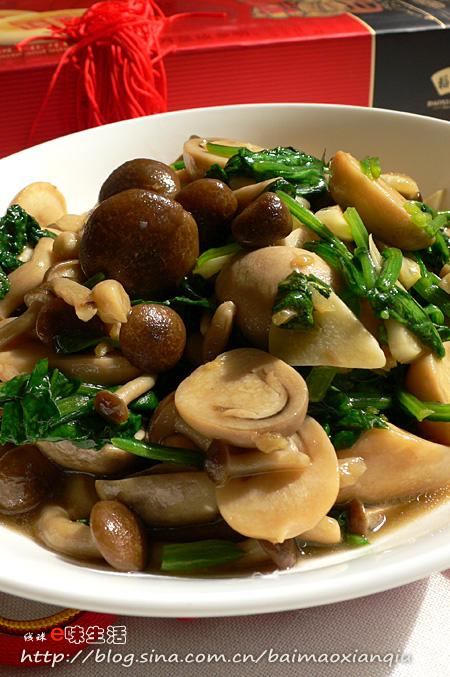 ˫�������˵�����