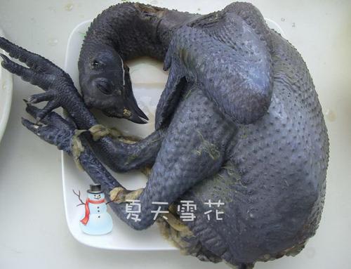 三味乌鸡沙锅煲的做法