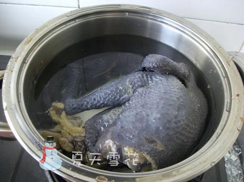 三味乌鸡沙锅煲的做法