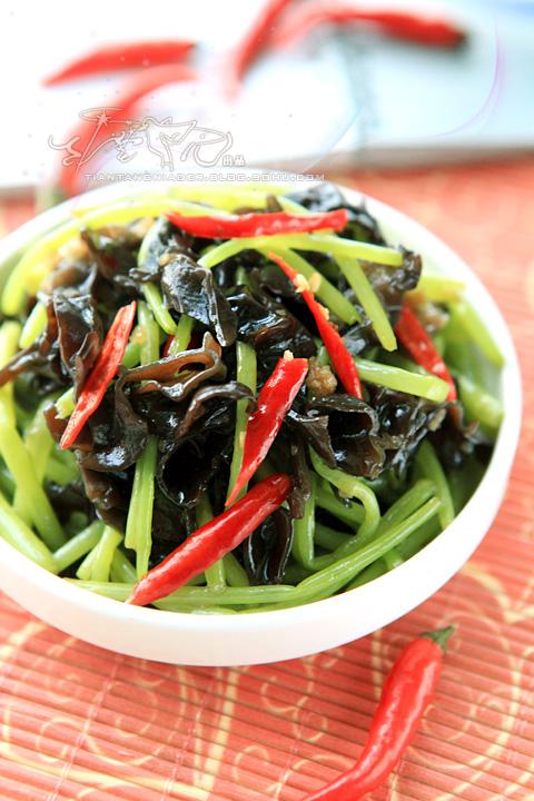 «�ݰ�ľ��������