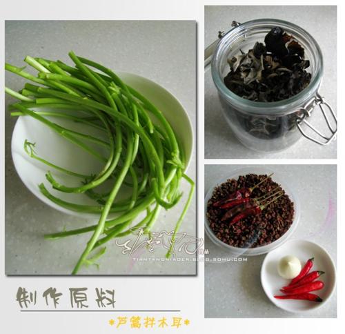 «�ݰ�ľ��������