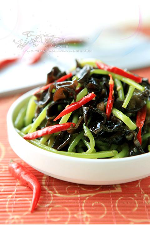 «�ݰ�ľ��������