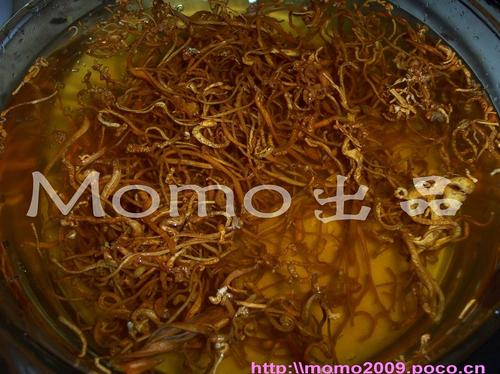 ��ݻ�����˿��������