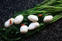 ��¶֭ѩ�����е�����