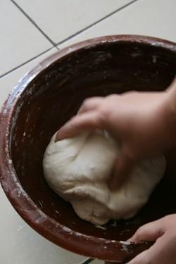 ֥�齴�ձ�������