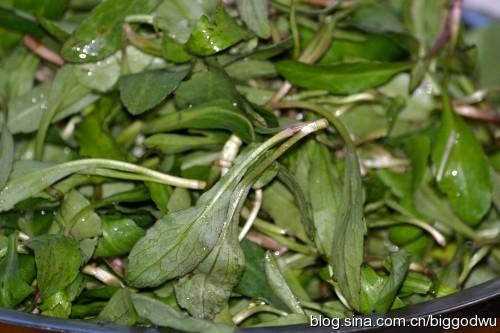 ��������ͷ������