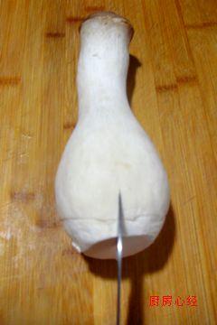 XO�����ӱ���������