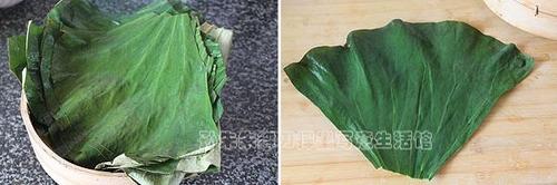 ����Ŵ�׹ǵ�����