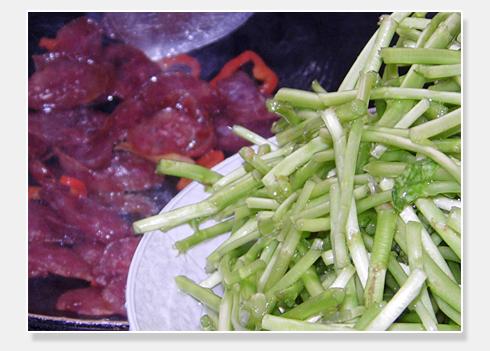 «�ﳴ�㳦������