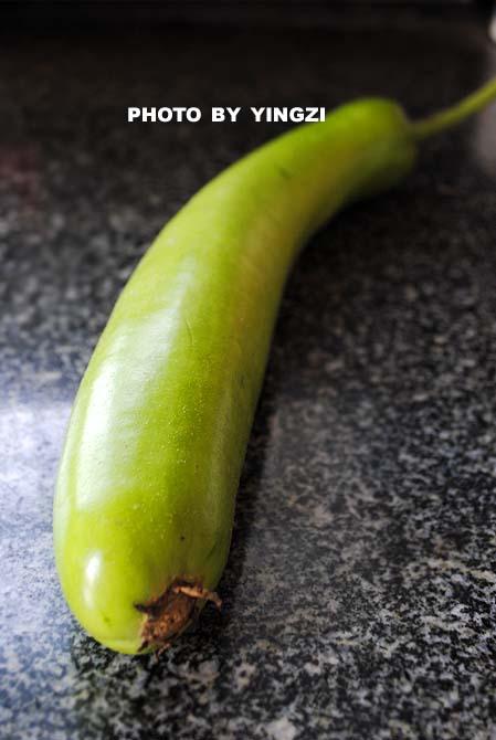 Ƥ�����ص�����