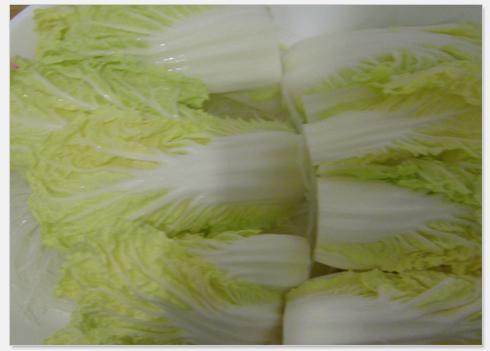 ���޲˷�˿������