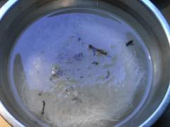 ��ʽ���Ӳ˵�����