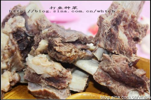 ţ�ŹǺ�����������