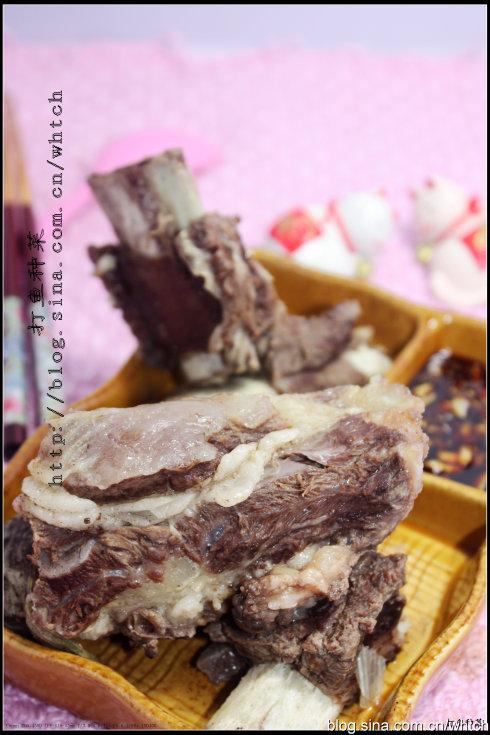 ţ�ŹǺ�����������