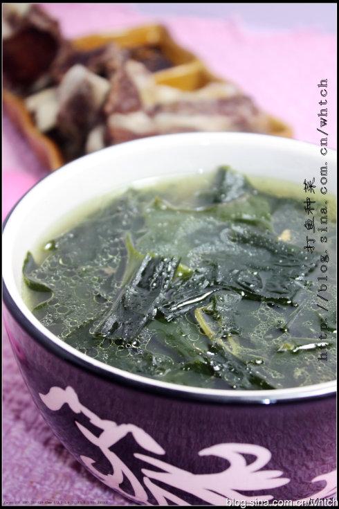 ţ�ŹǺ�����������