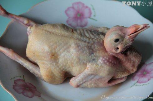 炖鸽子汤的做法