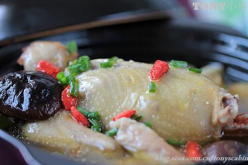 炖鸽子汤的做法