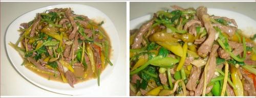 Ұɽ����ţ��˿������