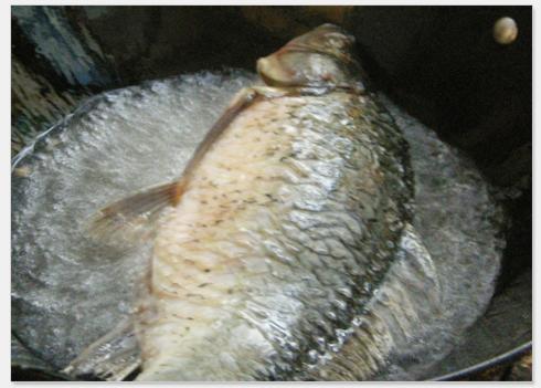 ���������������