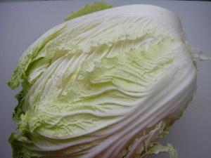 �������˿������