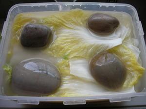 �������˿������