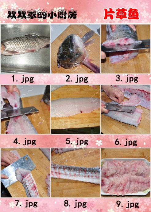 ������Ƭ������