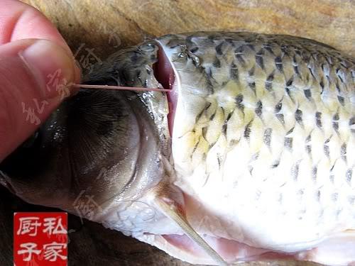 �Ǵ״�Ƥ�������