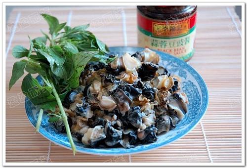 С�������������