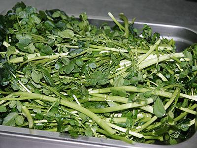 ����֭����Ǿ�����˵�����