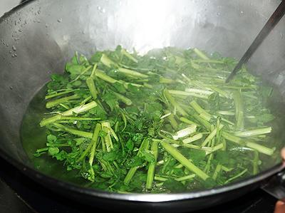 ����֭����Ǿ�����˵�����