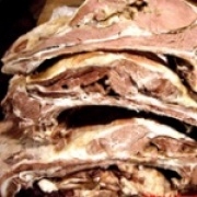 ��ǵ�������ȫ