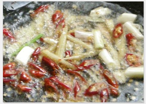 �²�̦�����ӵ�����