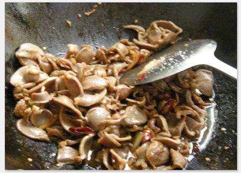 �²�̦�����ӵ�����