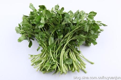 ������޺���������������