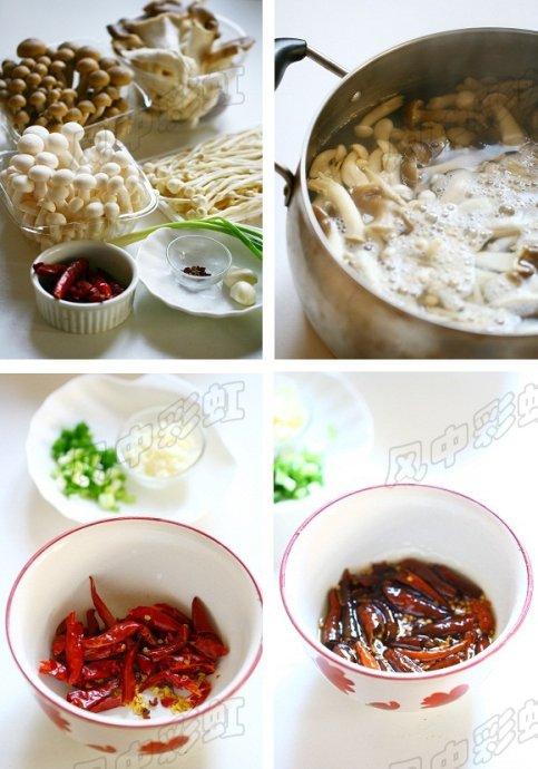 �����Ӿ�������