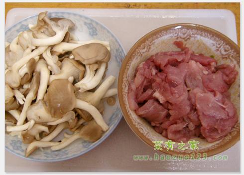 ��������Ƭ������